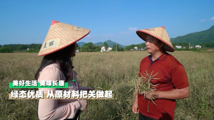 深山有嘉茗，一心出好茶｜這個夏天，長康帶你去探秘